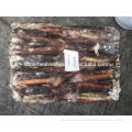 Frozen Illex Squid With Dark Color Round Tube Size 100-150g